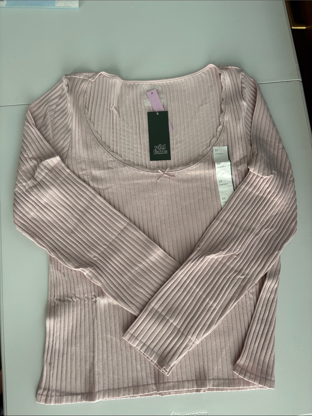 wild fable Ribbed Scoop Neck Long Sleeve Top - Pale Pink